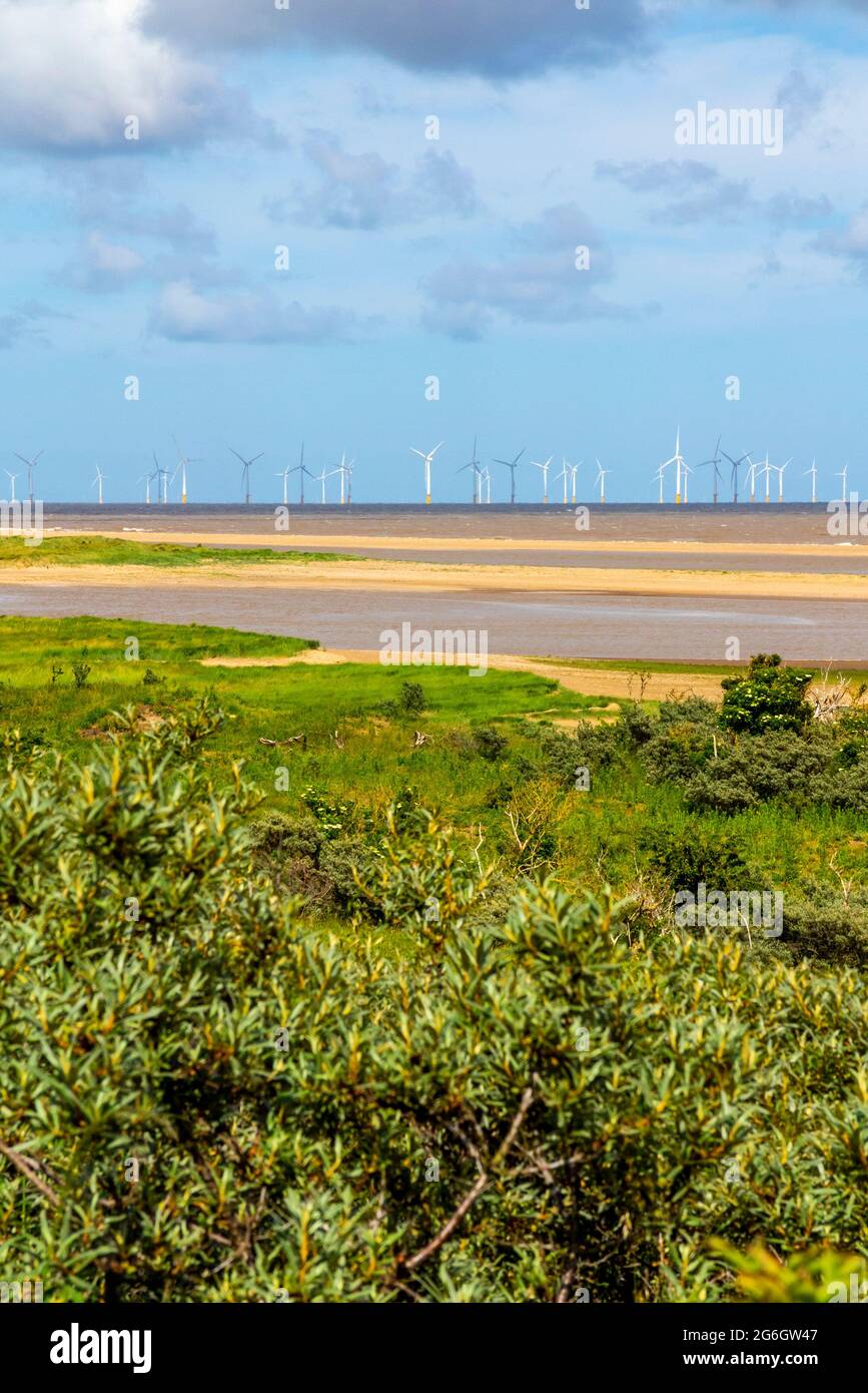 Turbinas del parque eólico offshore de Lincs vistas desde la costa cerca de Skegness en Lincolnshire, Inglaterra, Reino Unido, con playa en primer plano. Foto de stock