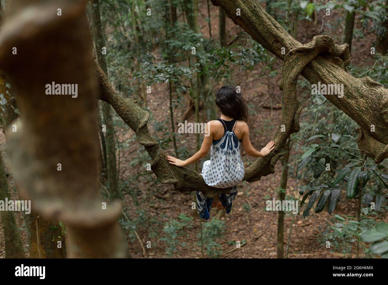 La chica se sienta en una enorme rama de liana en la selva. Foto de stock