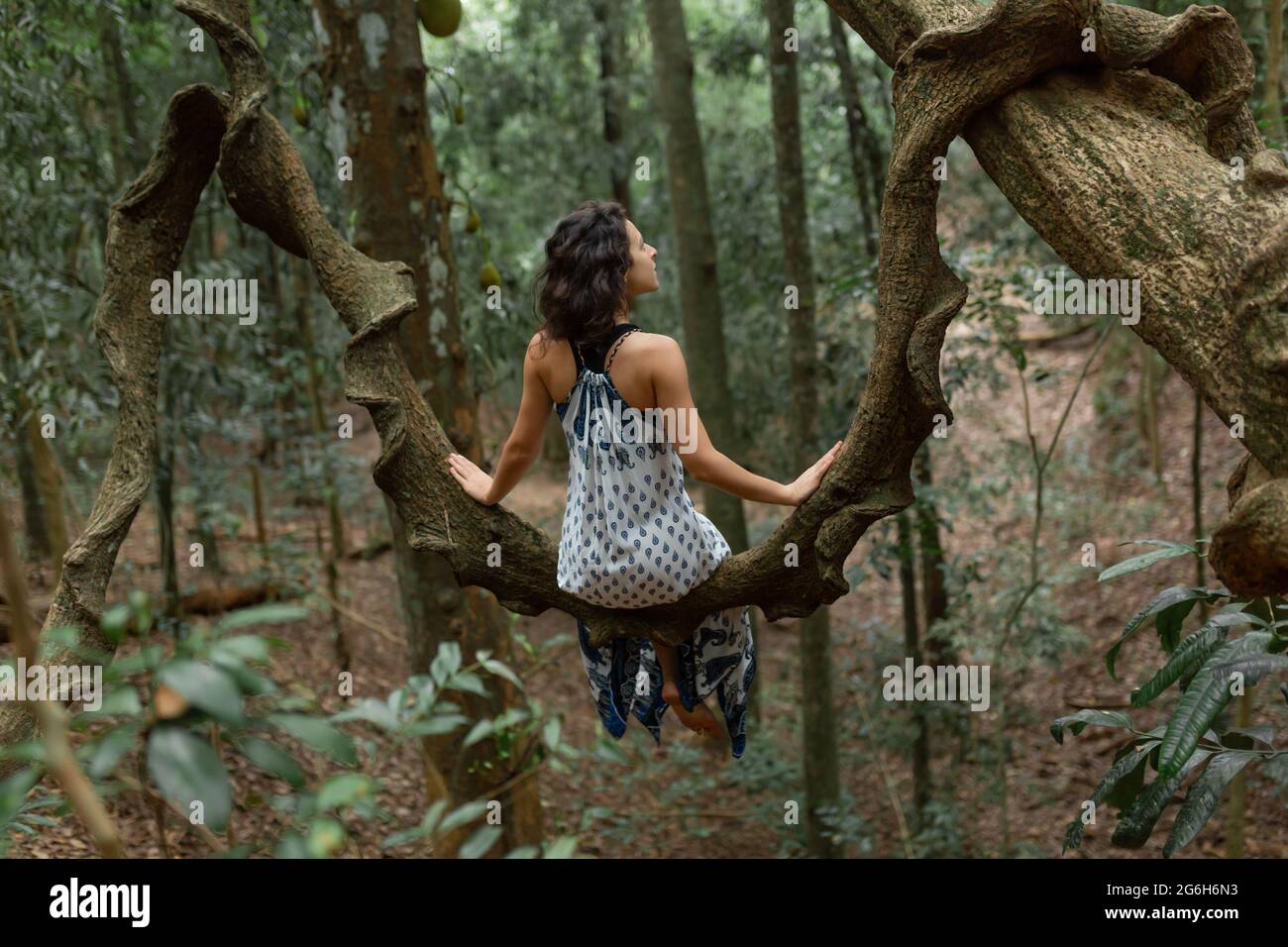 La chica se sienta en una enorme rama de liana en la selva. Foto de stock