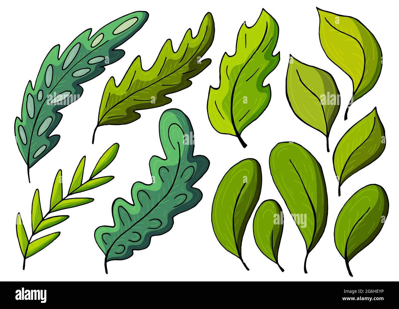 Colección de hojas decorativas verdes. Elementos vectoriales para su diseño. Hojas de árboles, flores. Conjunto de ilustraciones en estilo de dibujo a mano Imagen Vector de stock - Alamy Colección de hojas decorativas verdes. Elementos vectoriales para su diseño. Hojas de árboles, flores. Conjunto de ilustraciones en estilo de dibujo a mano Imagen Vector de stock - Alamy