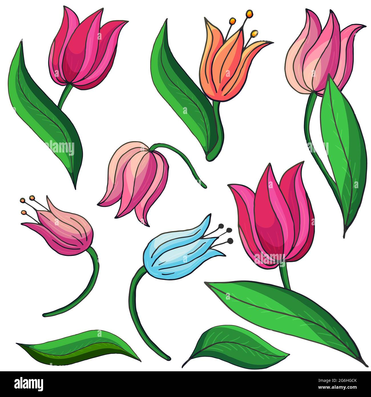 Tulipanes. Delicadas flores de primavera con estilo de dibujo a mano.  Bonitos elementos florales para tu diseño Imagen Vector de stock - Alamy