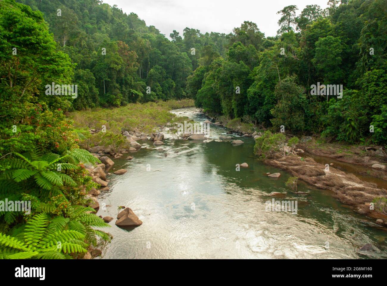 Beatrice River, mirando río arriba desde el puente en Palmerston Highway, Foto de stock