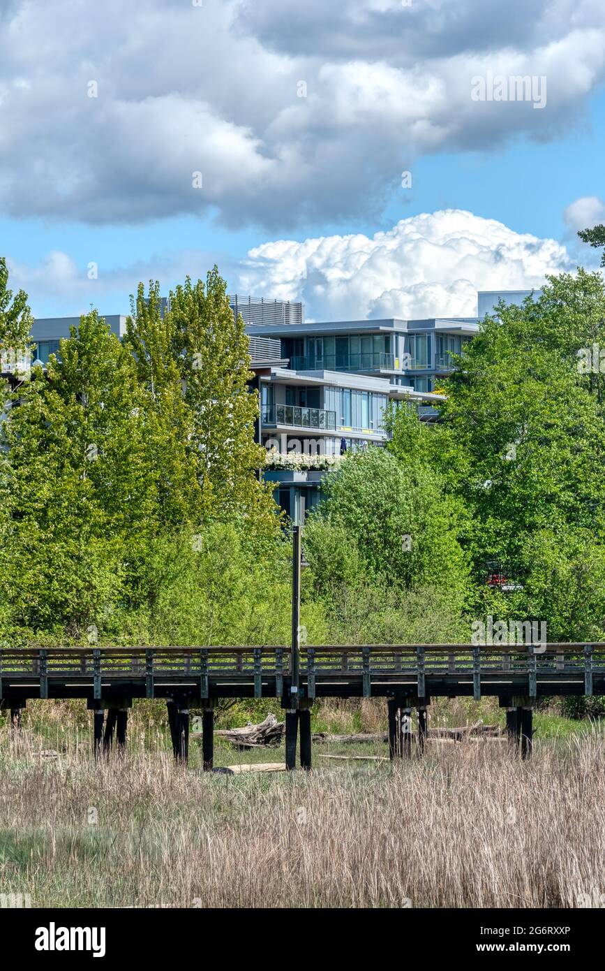 Eco paisaje urbano. Muelle de madera frente al edificio residencial sobre fondo de nubes Foto de stock