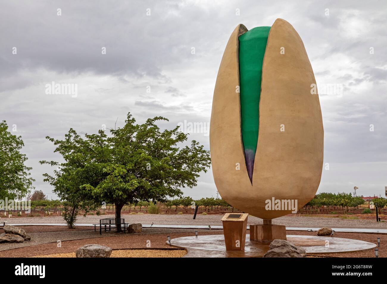 Alamogordo, Nuevo México - Una escultura de pistacho gigante en el Rancho Pistacho de McGinn. Foto de stock