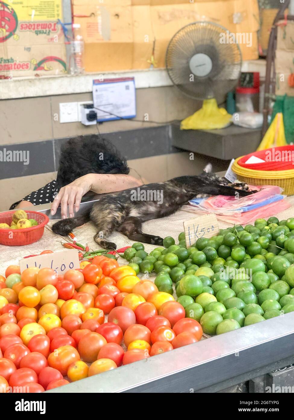 Una persona trabajadora en un mercado local tomando un descanso en un día extremadamente caluroso. Kuala Lumpur, Malasia. Foto de stock