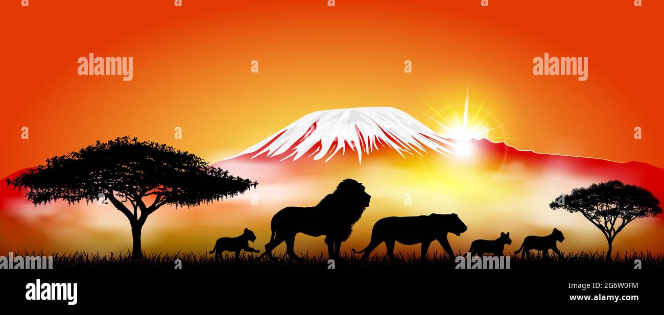 Familia de los Leones. León, leona y cachorros de león contra el telón de fondo del Monte Kilimanjaro. Siluetas de leones africanos. Ilustración del Vector