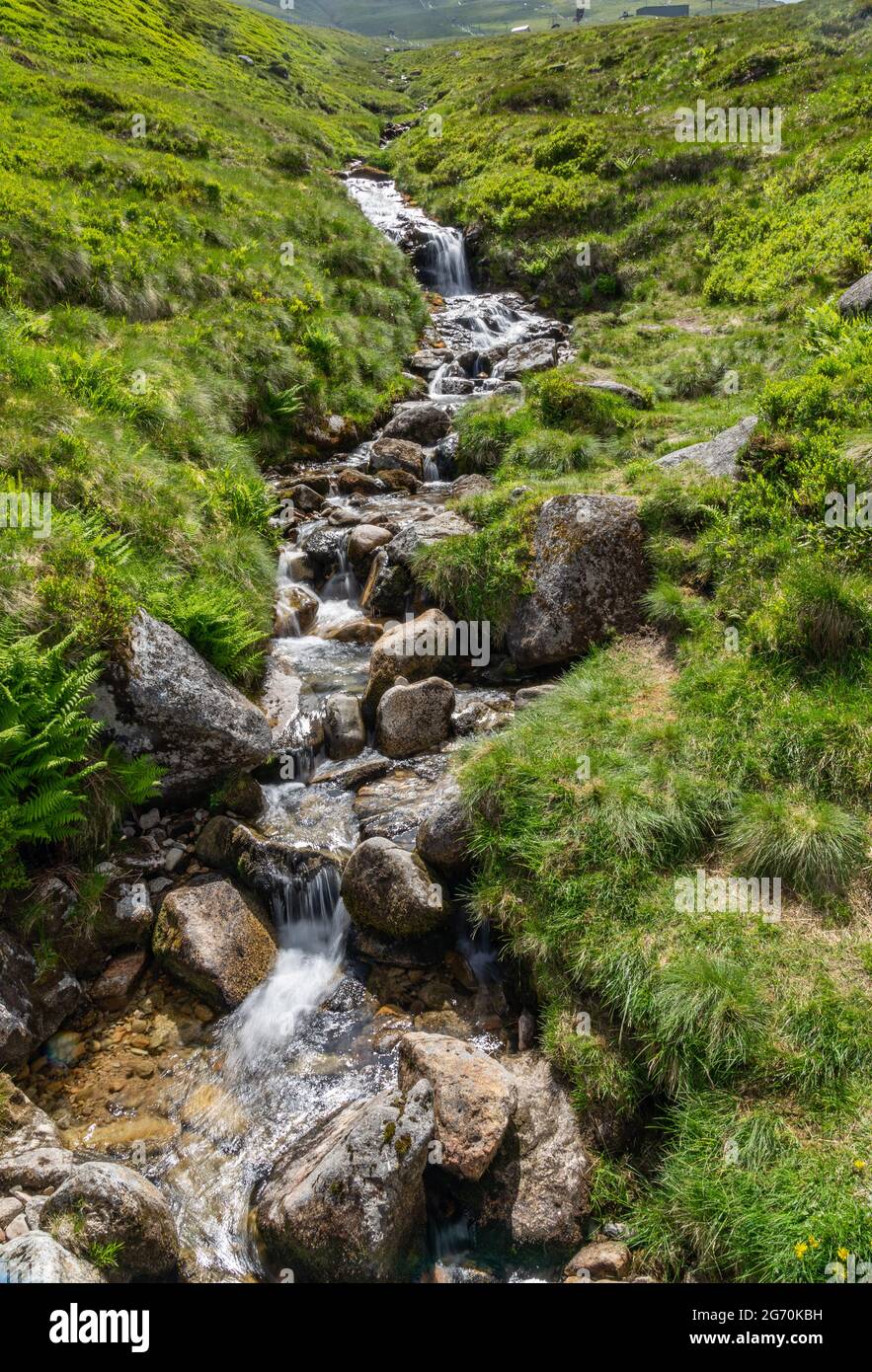El agua que fluye a través de las piedras en un arroyo de montaña Foto de stock