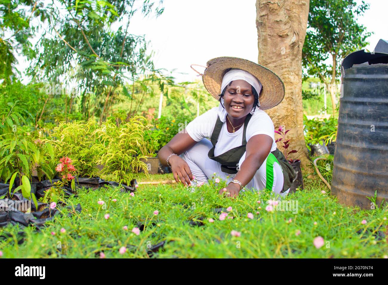 Jardinera africana, florería o horticultor usando un delantal y un sombrero, trabajando mientras que se pone en cuclillas en un jardín verde y colorido de flores y plantas Foto de stock