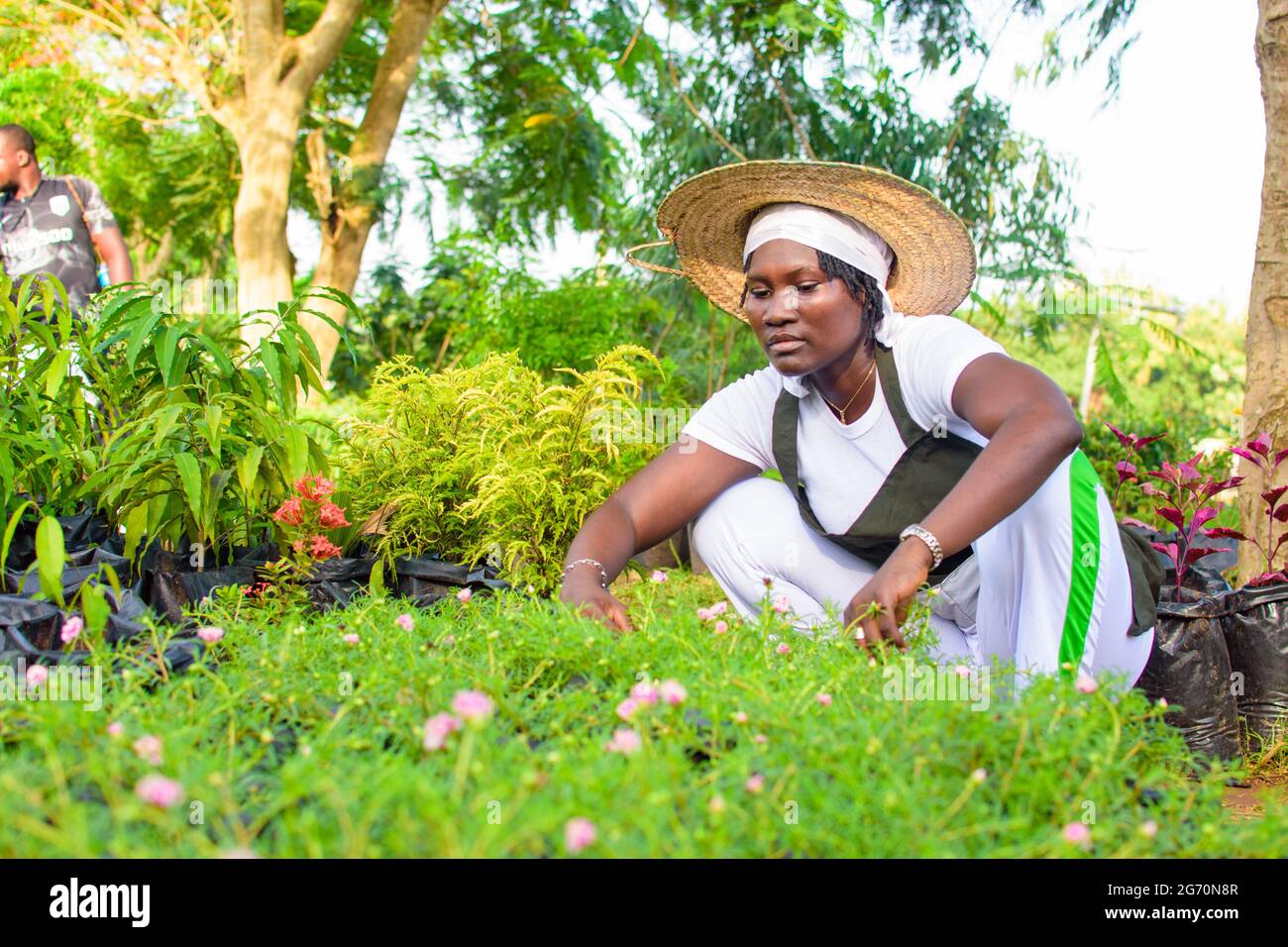 Jardinera africana, florería o horticultor usando un delantal y un sombrero, trabajando mientras que se pone en cuclillas en un jardín verde y colorido de flores y plantas Foto de stock