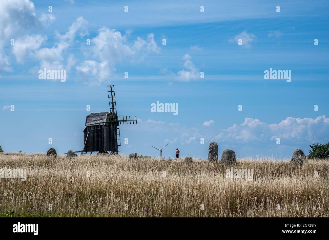 Paisaje característico en la isla sueca del Mar Báltico Öland. Foto de stock