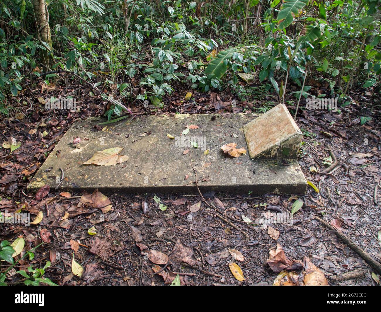 Tumba aislada en la selva tropical de Punta Uva, Costa Rica Fotografía