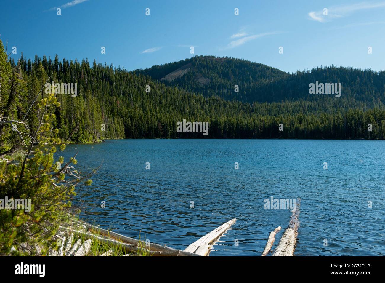 Fawn Lake, Diamond Peak Wilderness Foto de stock