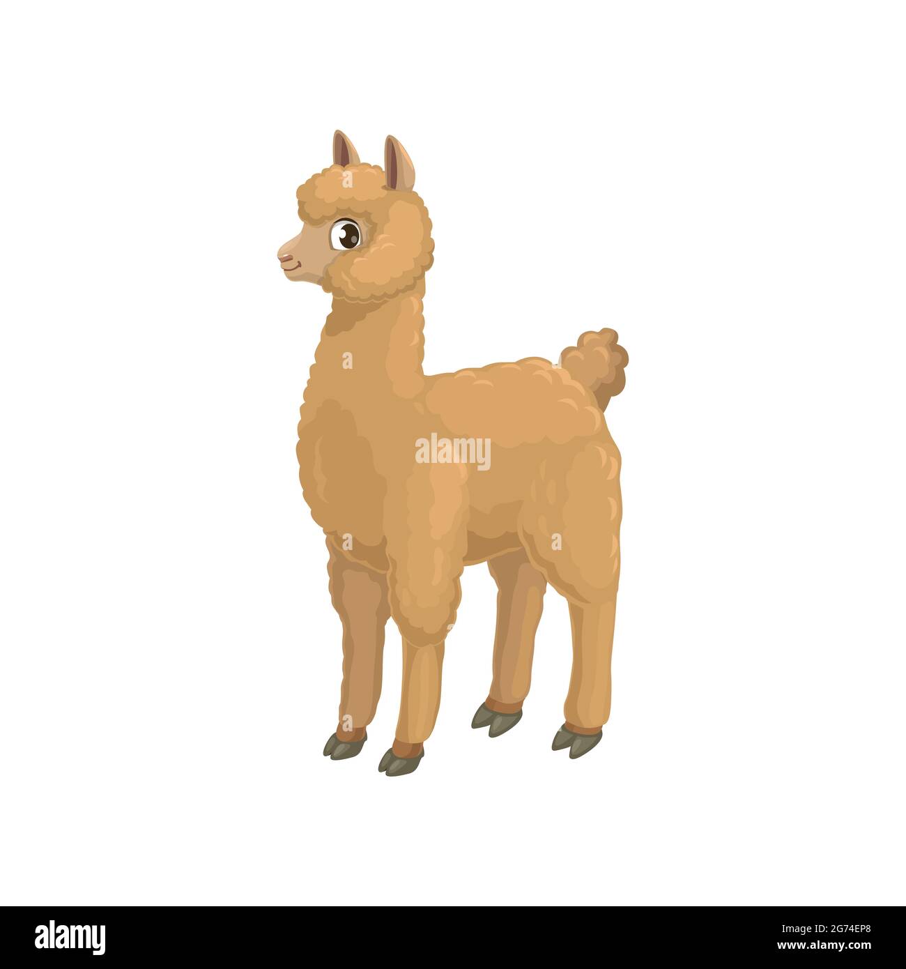Llama alpaca animal de dibujos animados aislados de la familia de camellos, quanaco con pezuñas. Vector beige alpaca o lama, animal domesticado sudamericano del paquete. Llama bebé Ilustración del Vector