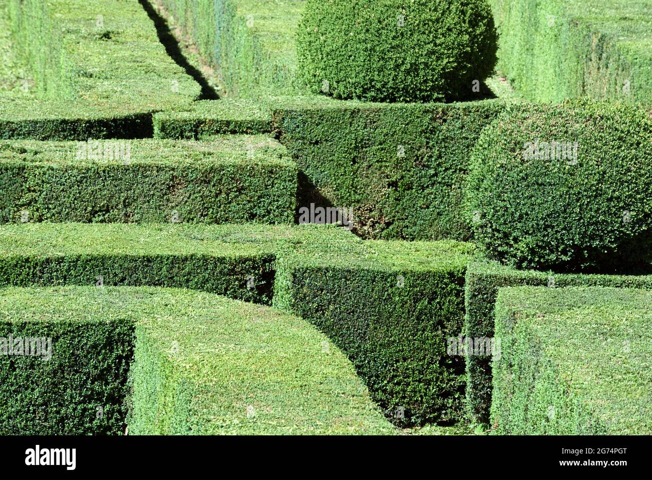 Patrones geométricos de bordes topiarios o bordes recortados en el jardín de Formel Le Nôtre o en los jardines de Entrecasteaux en el Var Provence Francia Foto de stock