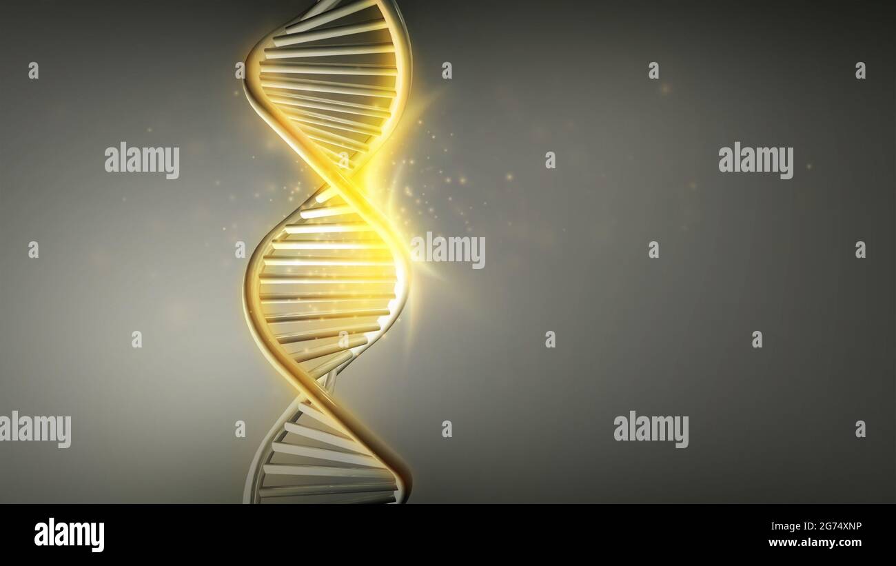 Brillo dorado de las hebras de ADN doble hélice, 3D render. Foto de stock