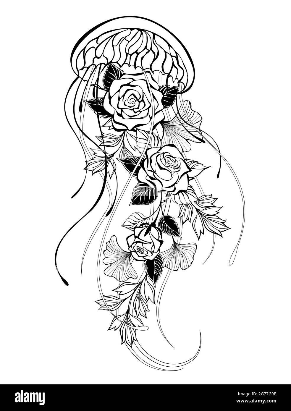 Contorno, artísticamente dibujado medusas con rosas y plantas decorativas sobre fondo blanco. Ilustración del Vector