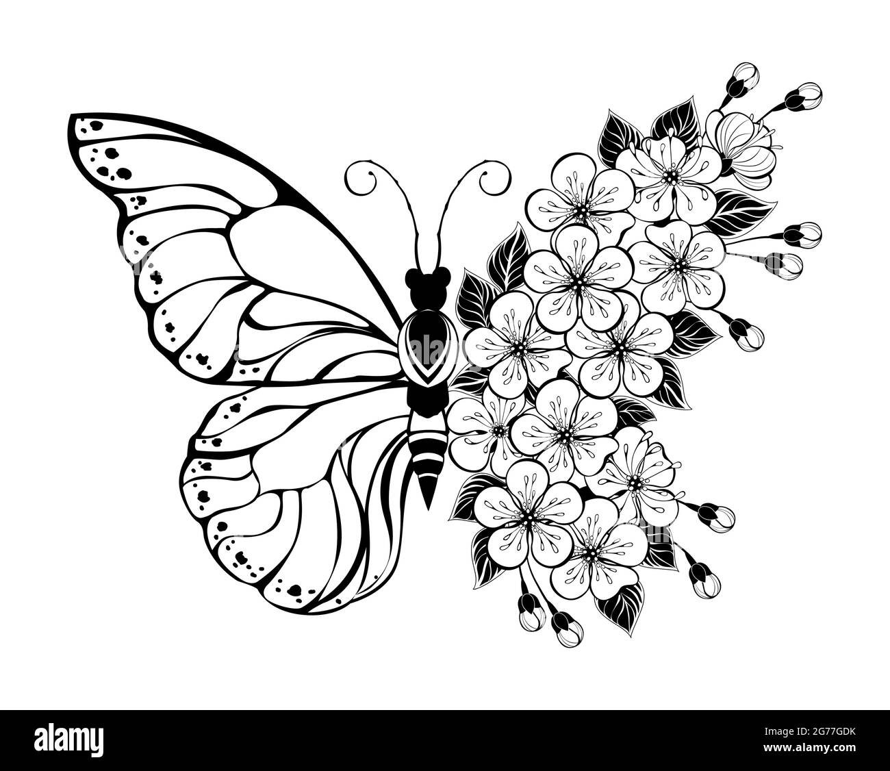 Arreglo floral de mariposa con sakura floreciendo sobre fondo blanco. Estilo de tatuaje. Ilustración del Vector