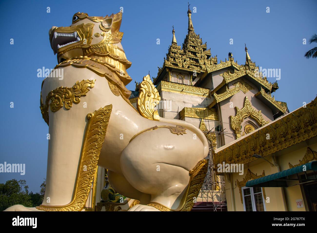 El chino gigante (leogryph) guarda la entrada a la Pagoda Shwedagon. Estatua dorada que se asemeja a una criatura en forma de león con un cielo azul claro Foto de stock