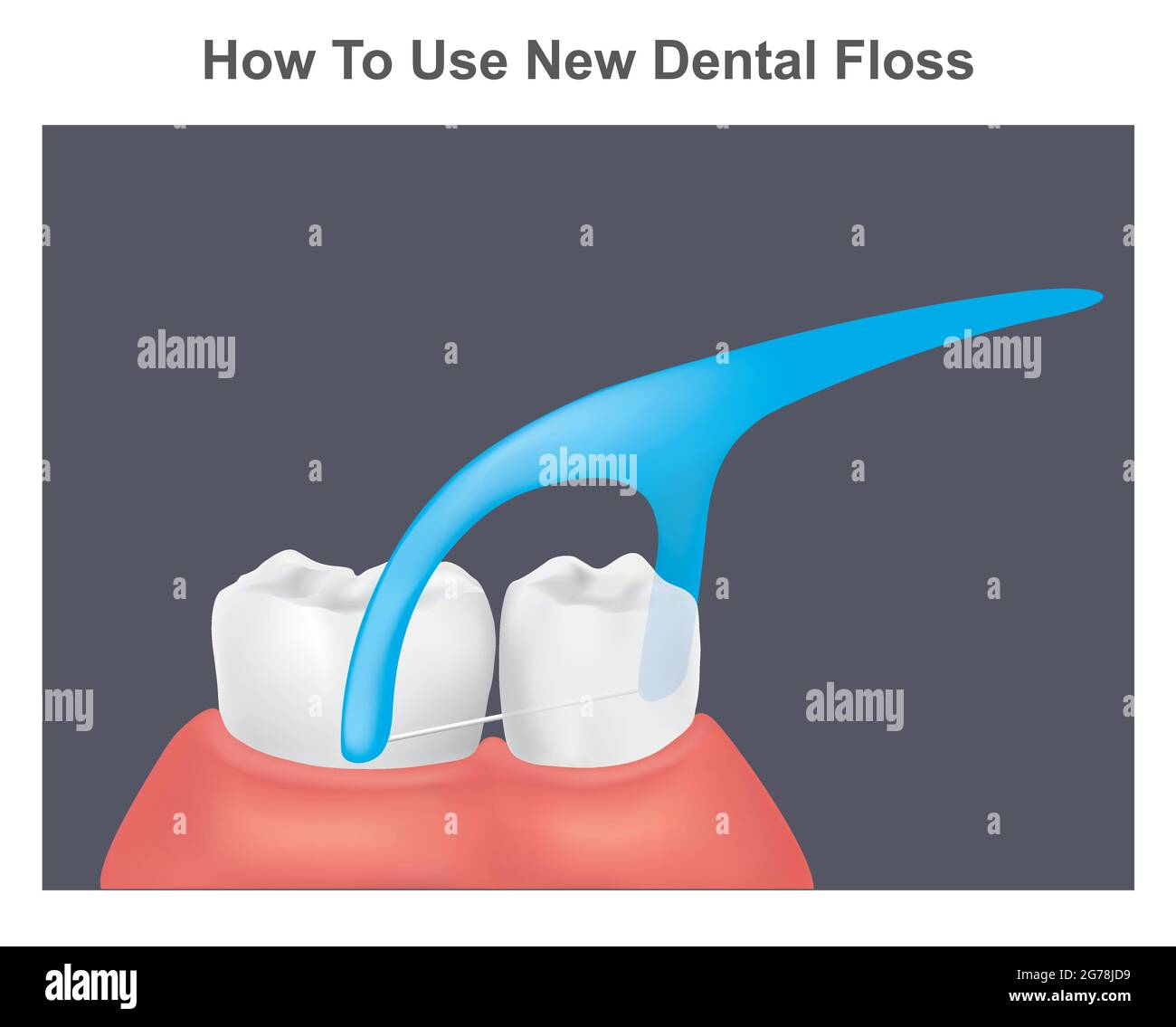 Cómo usar el hilo dental nuevo. Ilustración de dientes y encías sanos usando hilo dental nuevo. Ilustración del Vector