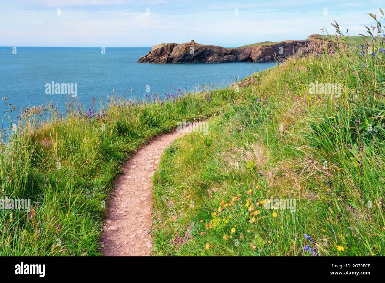 Sección bien trudada de la Ruta Costera de Gales al acercarse a Abereiddy en Pembrokeshire, Gales del Sur, Reino Unido Foto de stock