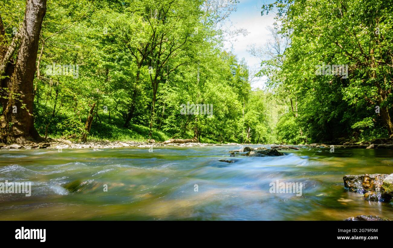 Vista de nivel bajo de Jessamine Creek en Kentucky Foto de stock