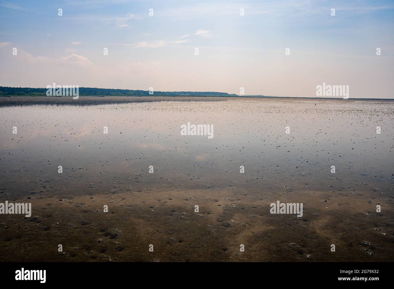 Mar de Wadden del Mar del Norte con sol brillante y cielo azul claro en Sahlenburg, Cuxhaven Foto de stock