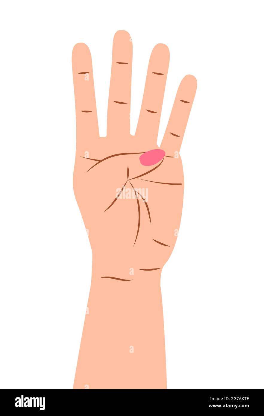 Vector del signo de gesto de la mano. Montaje en los dedos. Iconos de muñeca con recuento de dedos en estilo de dibujos animados. Mano de personas caucásicas Imagen Vector de stock - Vector del signo de gesto de la mano. Montaje en los dedos. Iconos de muñeca con recuento de dedos en estilo de dibujos animados. Mano de personas caucásicas Imagen Vector de stock -