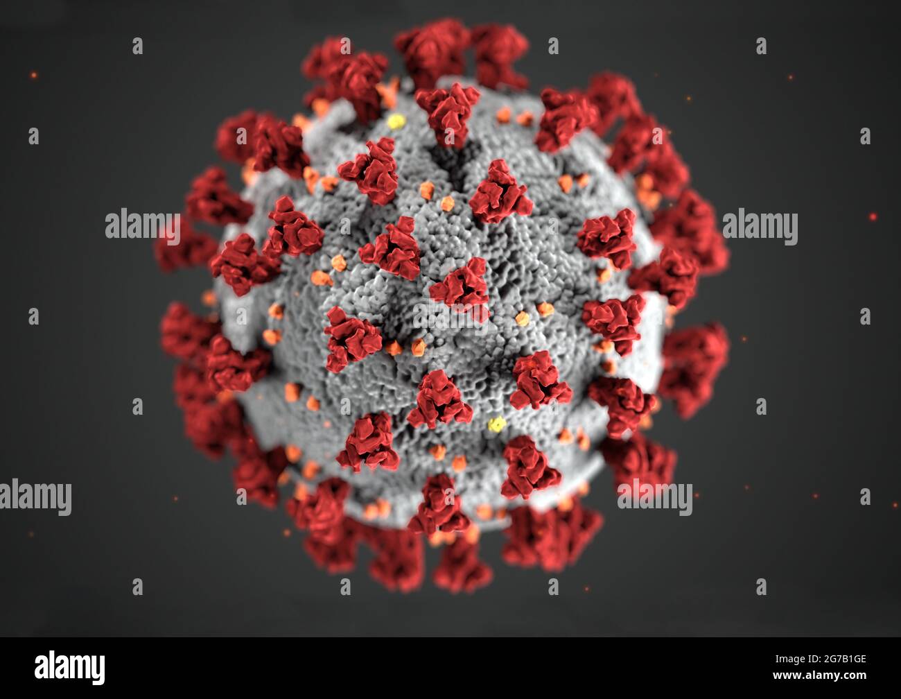 Esta ilustración revela la morfología ultraestructural exhibida por los coronavirus. Se identificó un nuevo coronavirus, llamado coronavirus del síndrome respiratorio agudo severo 2 (SARS-CoV-2), como la causa de un brote de enfermedad respiratoria detectado por primera vez en Wuhan, China, en 2019. La enfermedad causada por este virus ha sido llamada enfermedad coronavirus 2019 (COVID-19). Una versión optimizada y mejorada de una imagen producida por los Centros para el Control y la Prevención de Enfermedades de los Estados Unidos / Crédito: CDC Foto de stock