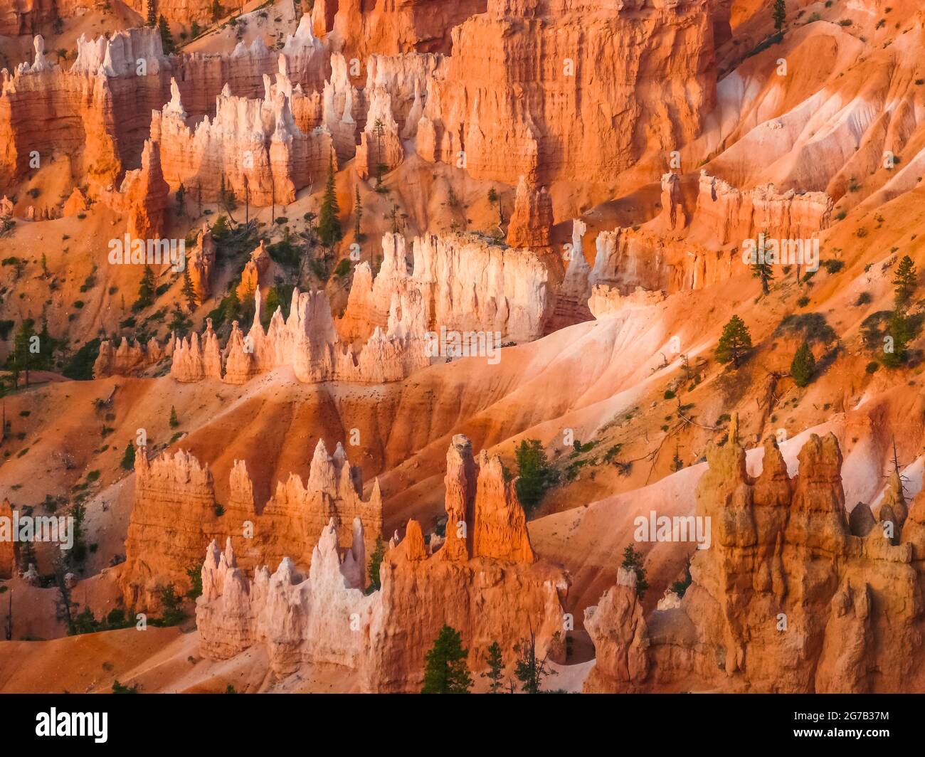 Parque Nacional Bryce Canyon, Utah, Estados Unidos, Foto de stock