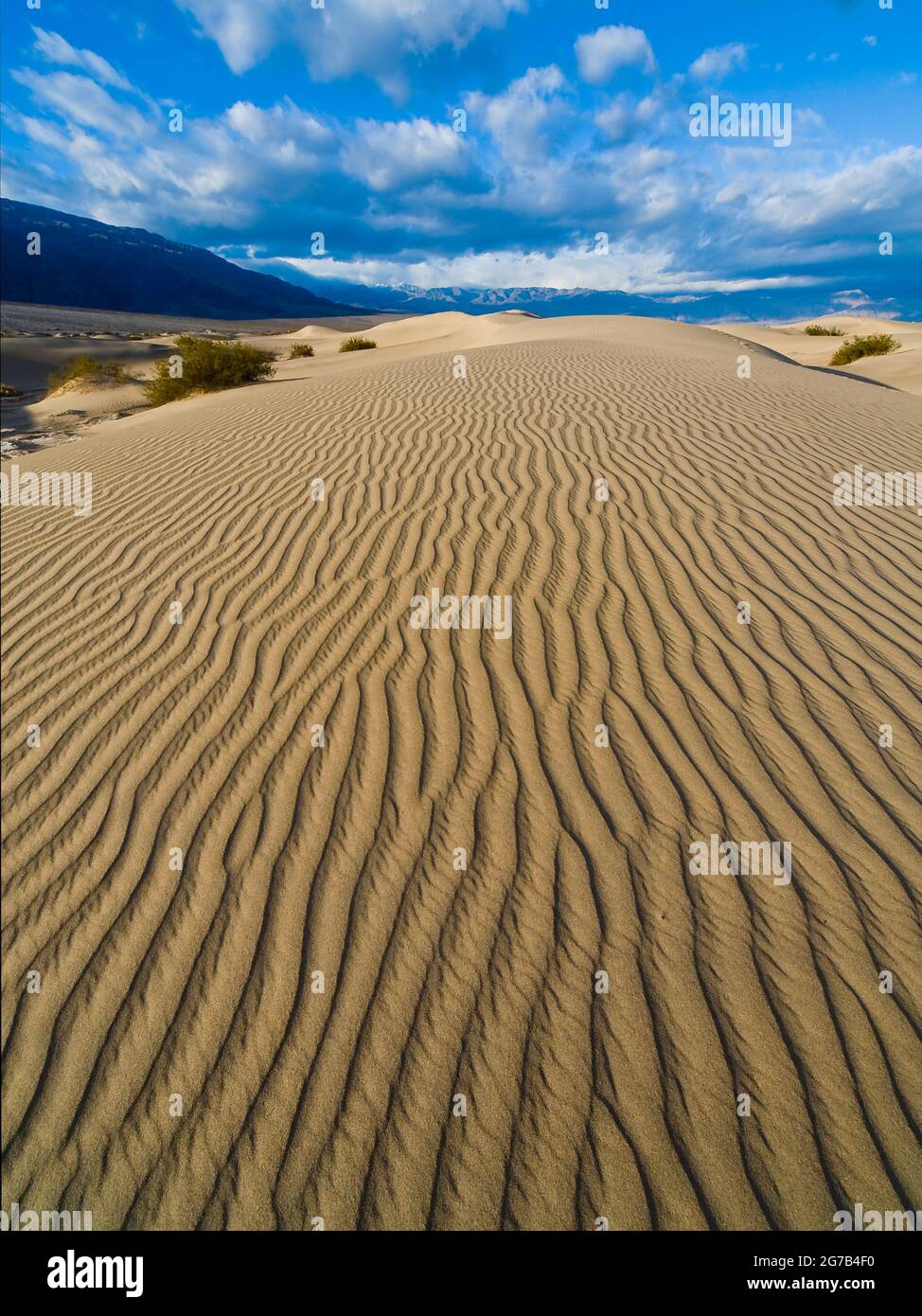 Stovepipe Wells Sand Dunes, Parque Nacional del Valle de la Muerte, California, Estados Unidos, Foto de stock