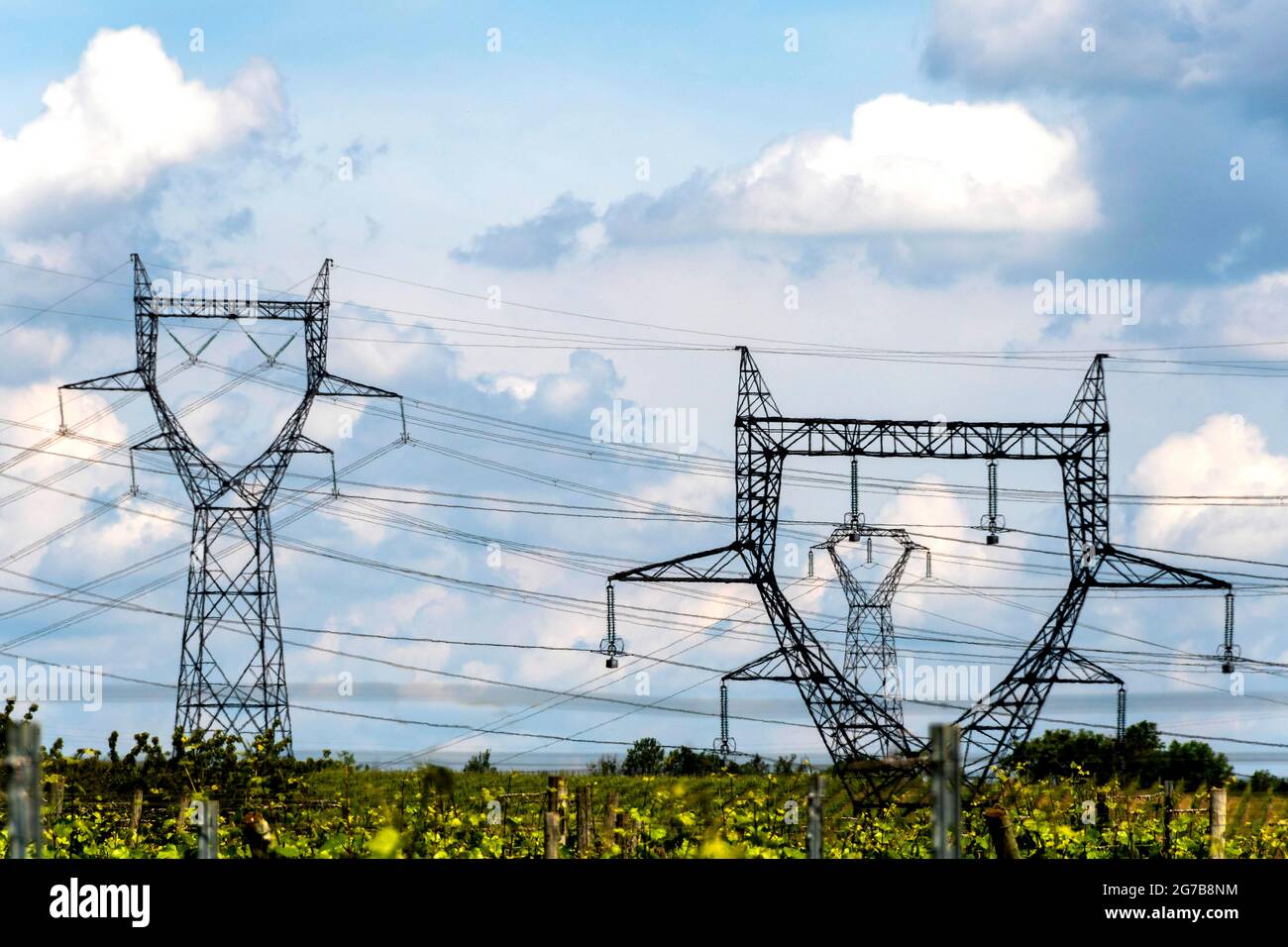 Pilones eléctricos, Auvernia-Rhone-Alpes, Francia Foto de stock