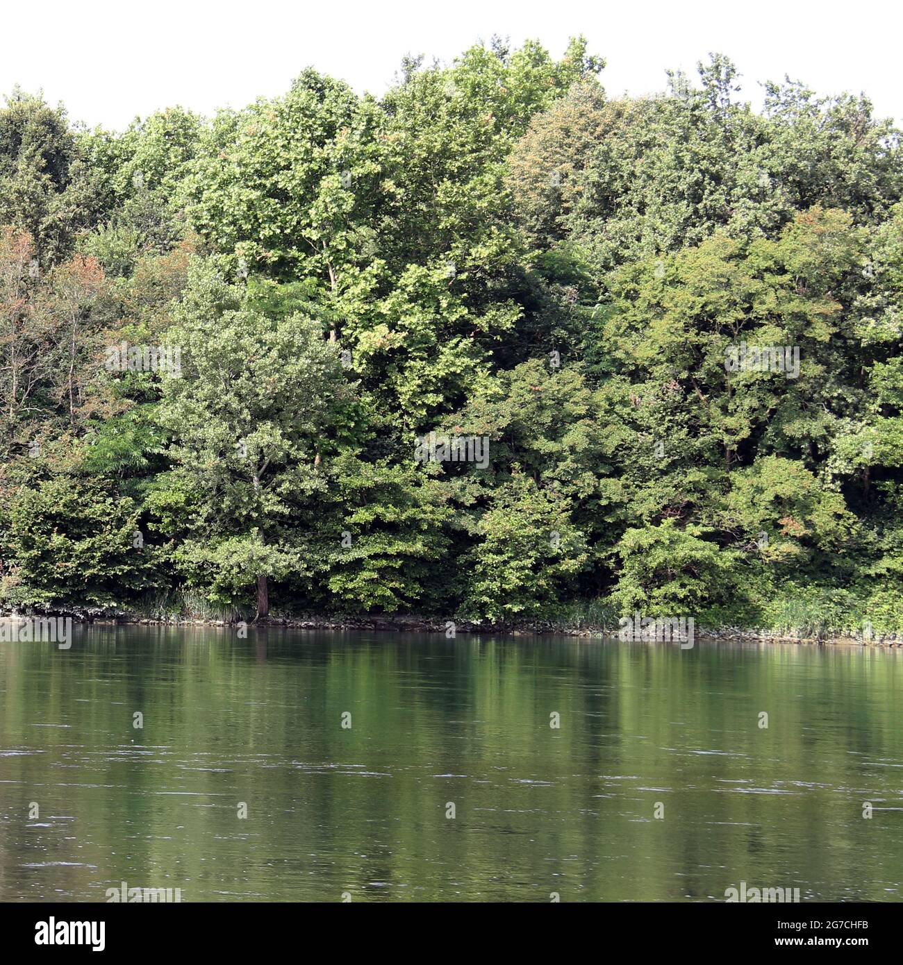 El río fluye lentamente sobre la naturaleza salvaje Foto de stock