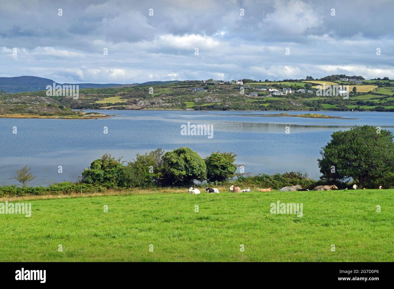 Una vista a través de la bahía de Roaring Water Bay cerca de Ballydehob, West Cork en Irlanda. Foto de stock
