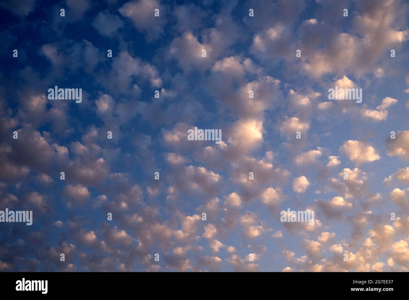 Castellanus puffy nubes y cielo azul al atardecer Hora Dorada vista en Jurmala Letonia Foto de stock