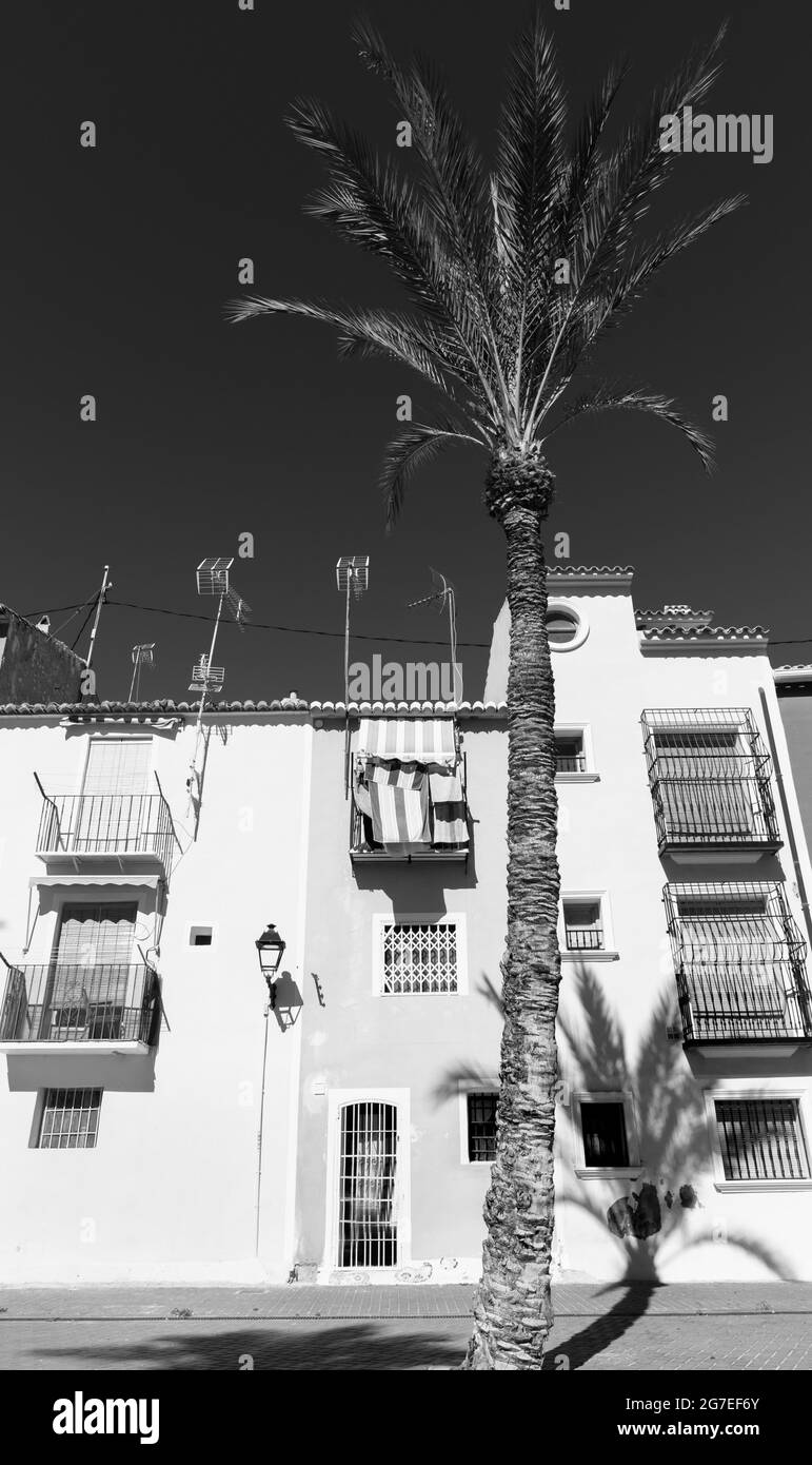 Negro e imagen de los típicos apartamentos mediterráneos con altas palmeras que proyectan sombra a través y arriba de la pared en La Vila Joiosa, Alicante España Foto de stock