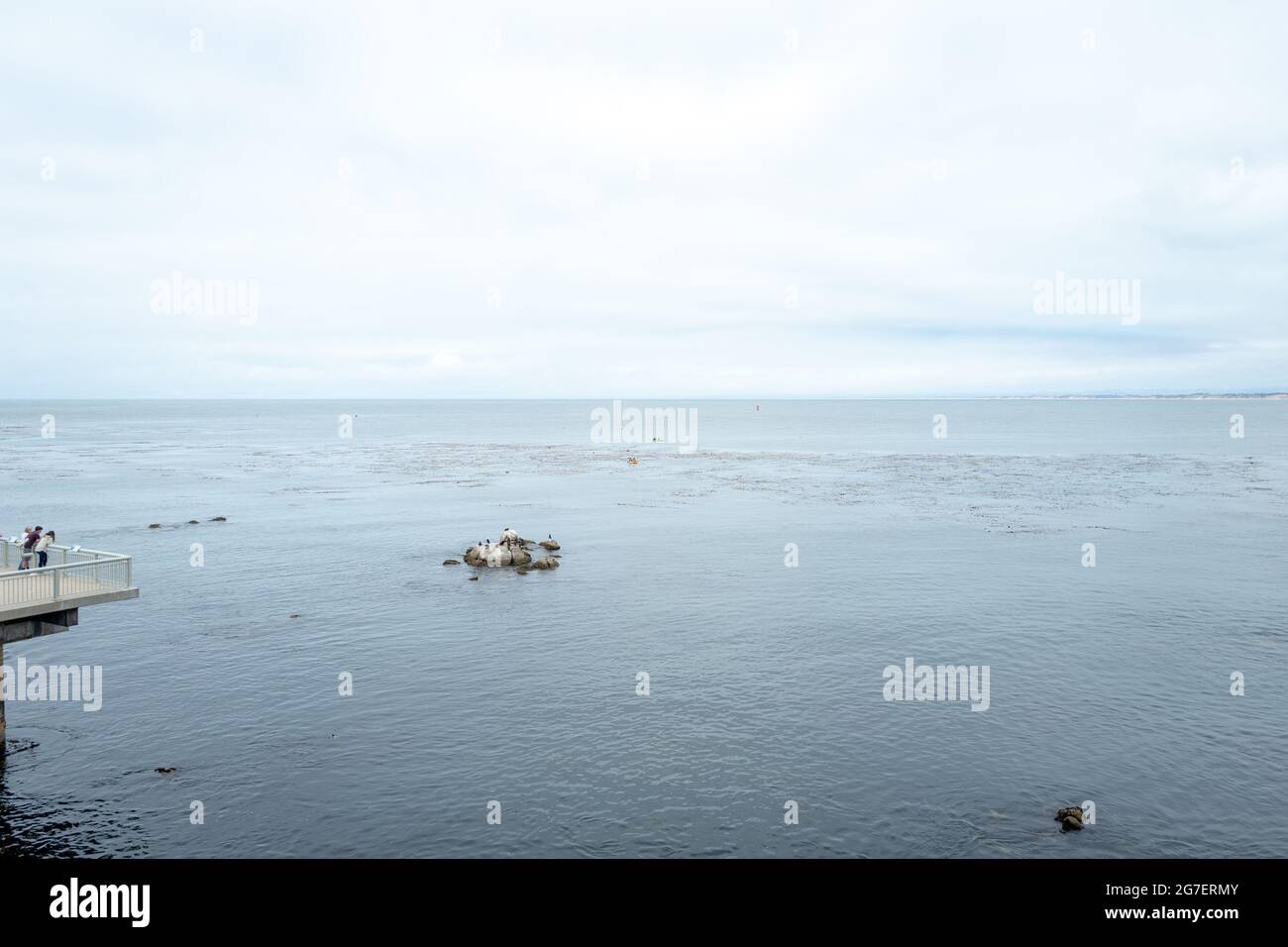 Vista aérea del agua y la línea del horizonte con la vida marina visible, Monterey Bay, Monterey, California, julio, 2021. () Foto de stock
