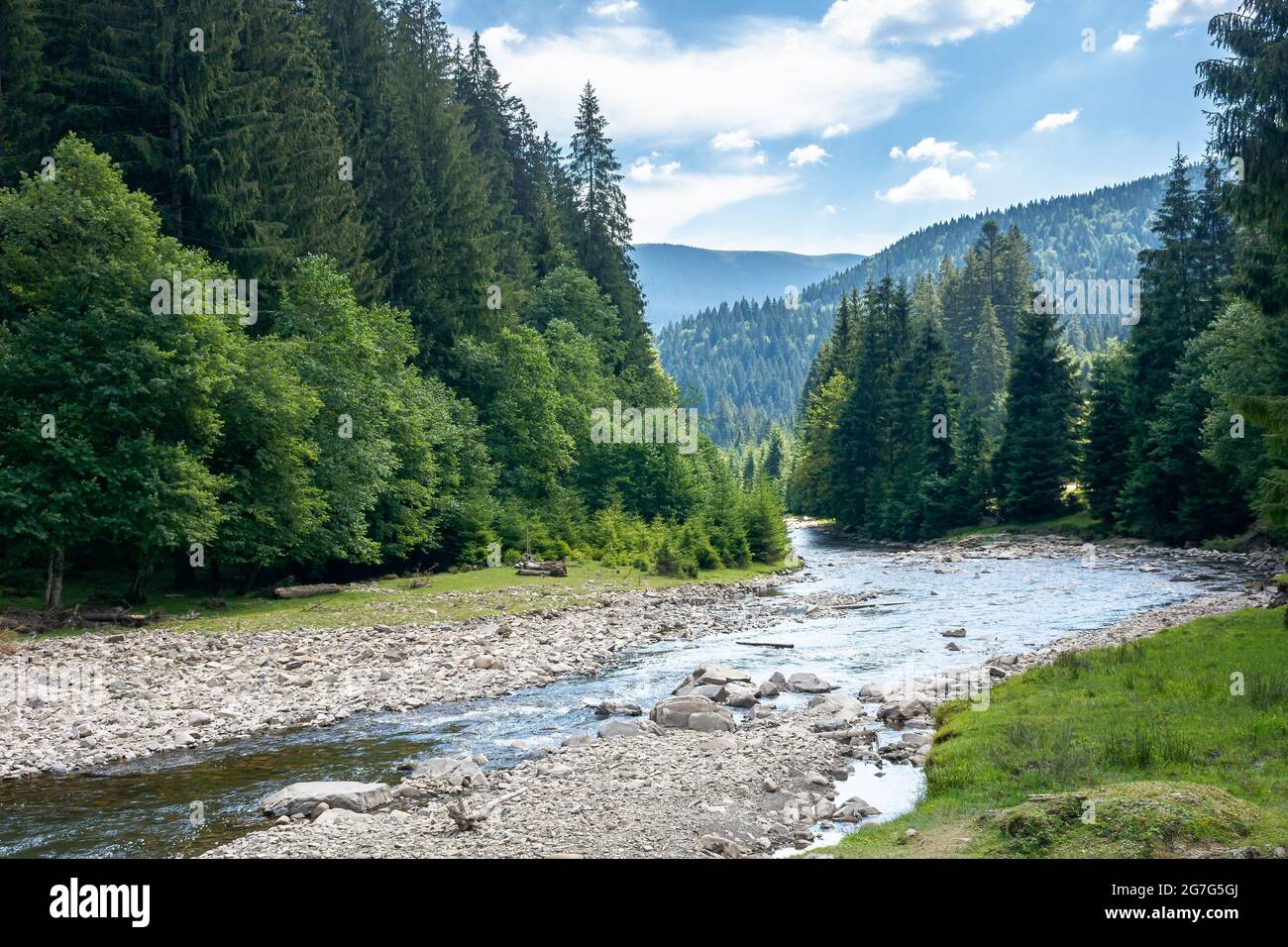 el río de montaña corre a través de un valle boscoso. paisaje de campo en un día de verano. árboles y piedras en la orilla. problema ecológico con el bajo montaje de w Foto de stock