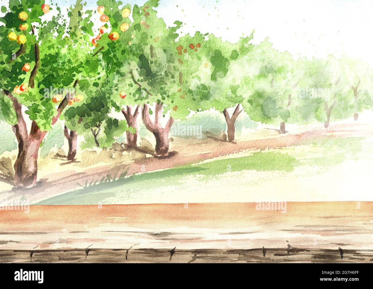 Mesa vacía y jardín de manzana en perspectiva. Fondo de acuarela dibujado a  mano Fotografía de stock - Alamy