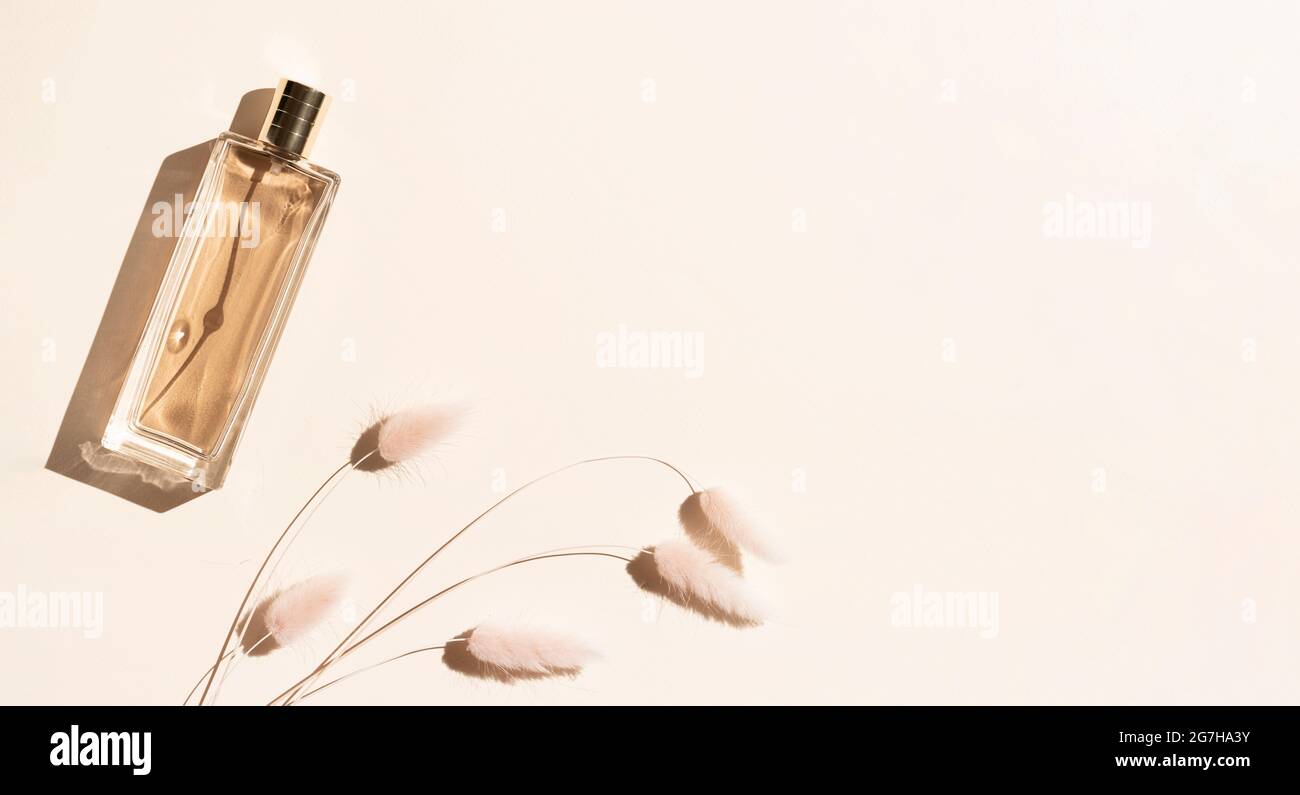 una botella de perfume beige y espiguillas decorativas sobre un fondo de  color arena. Arte de belleza minimalista todavía vida copia espacio  Fotografía de stock - Alamy