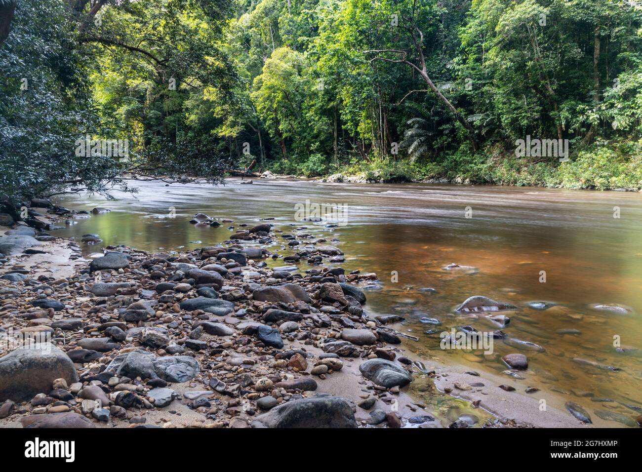 Vista panorámica de la naturaleza del río Tahan con exuberante follaje de la selva tropical en el Parque Nacional Taman Negara, Pahang Foto de stock