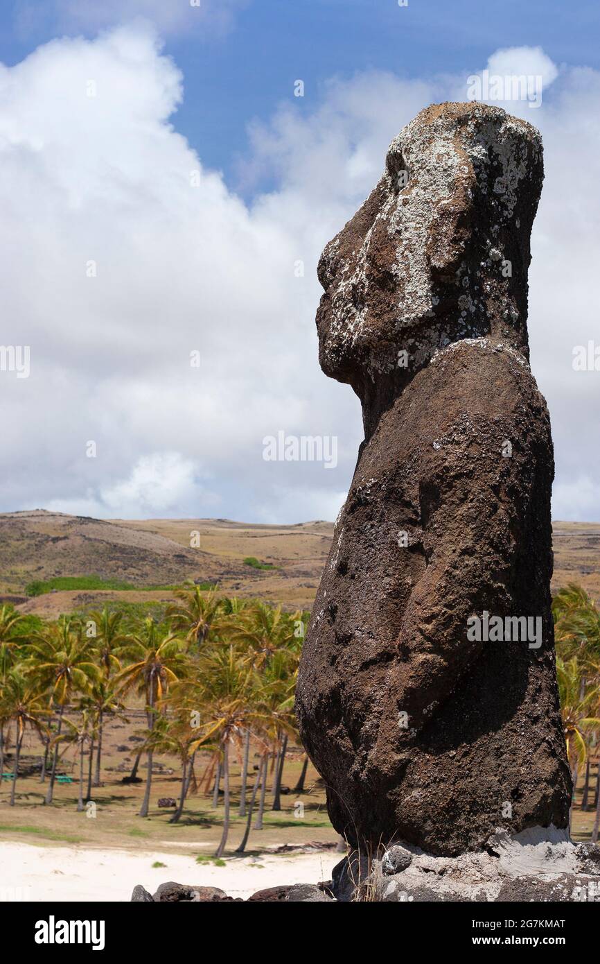 Detenerse Glosario Edredón El solitario moai de Ahu Ature Huki en la playa de Anakena, Rapa Nui (Isla  de Pascua Fotografía de stock - Alamy
