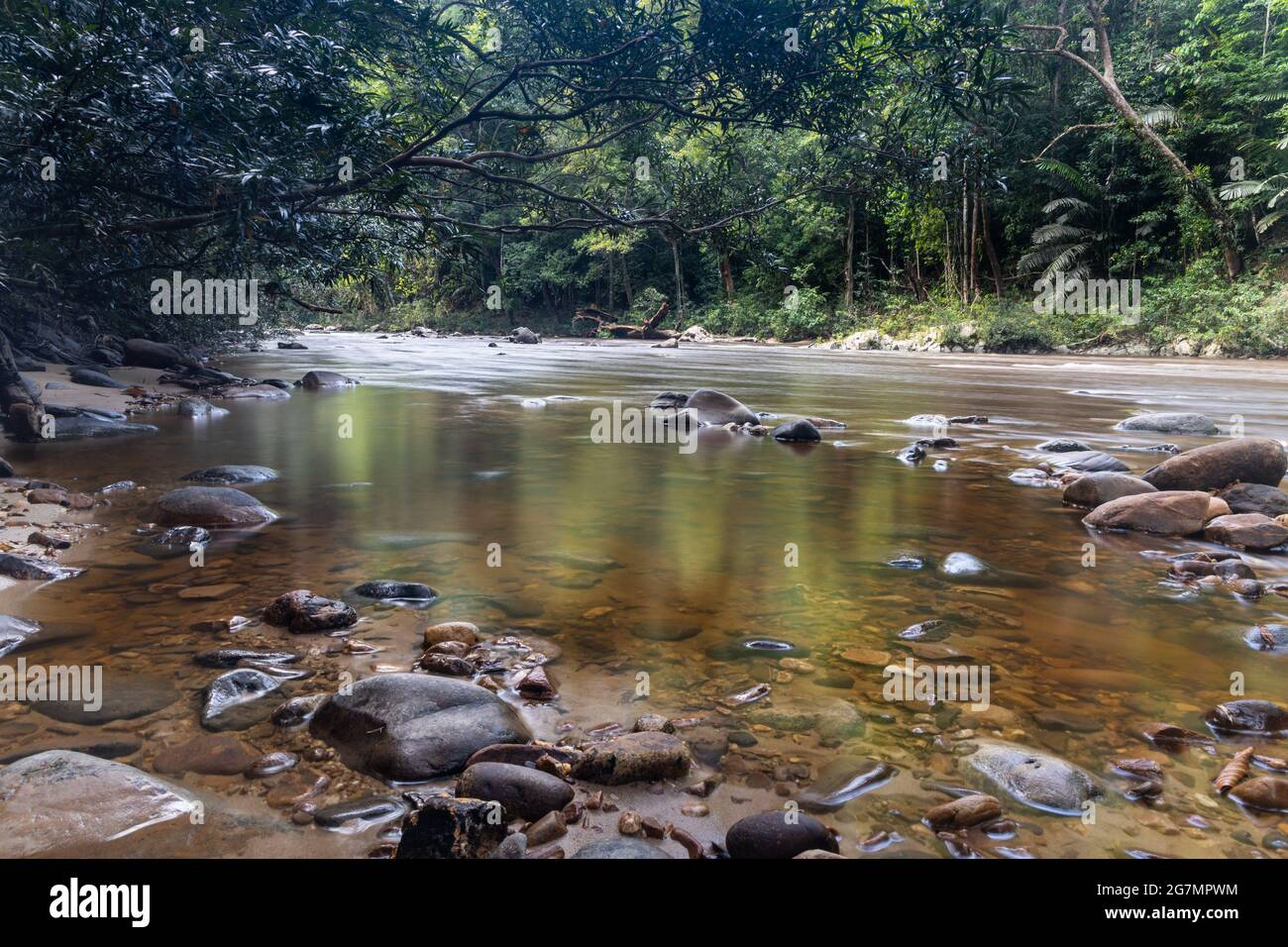 Vista panorámica de la naturaleza del río Tahan con exuberante follaje de la selva tropical en el Parque Nacional Taman Negara, Pahang Foto de stock