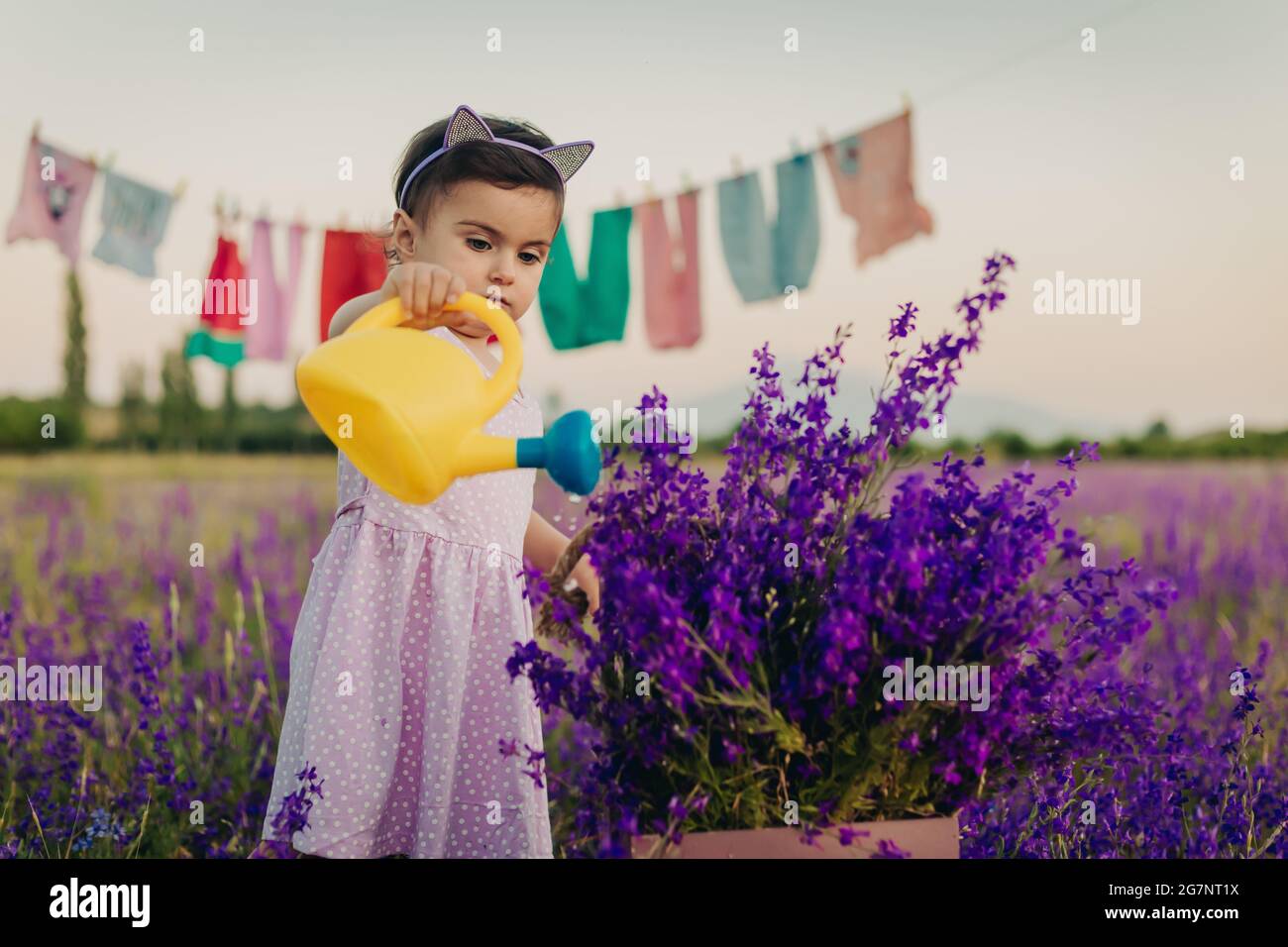 Impedir Positivo miembro Retrato de la niña sobreprsiada de pie en campo de lavanda y flores de riego  con plástico amarillo regando lata Fotografía de stock - Alamy