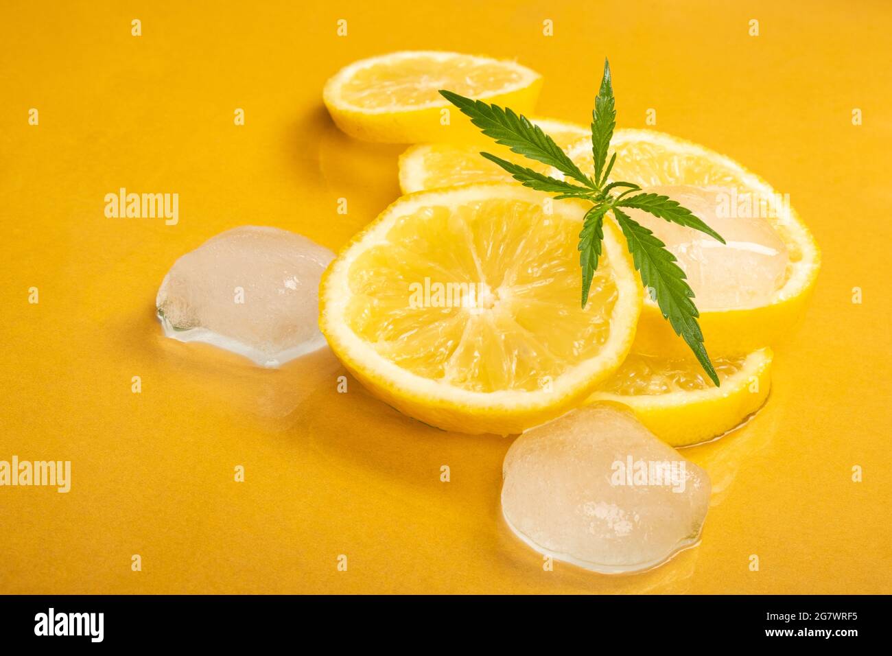 cuñas de limón con cubitos de hielo y abadón de marihuana sobre fondo  amarillo, cáñamo de limón, cannabis con aroma de cítricos Fotografía de  stock - Alamy