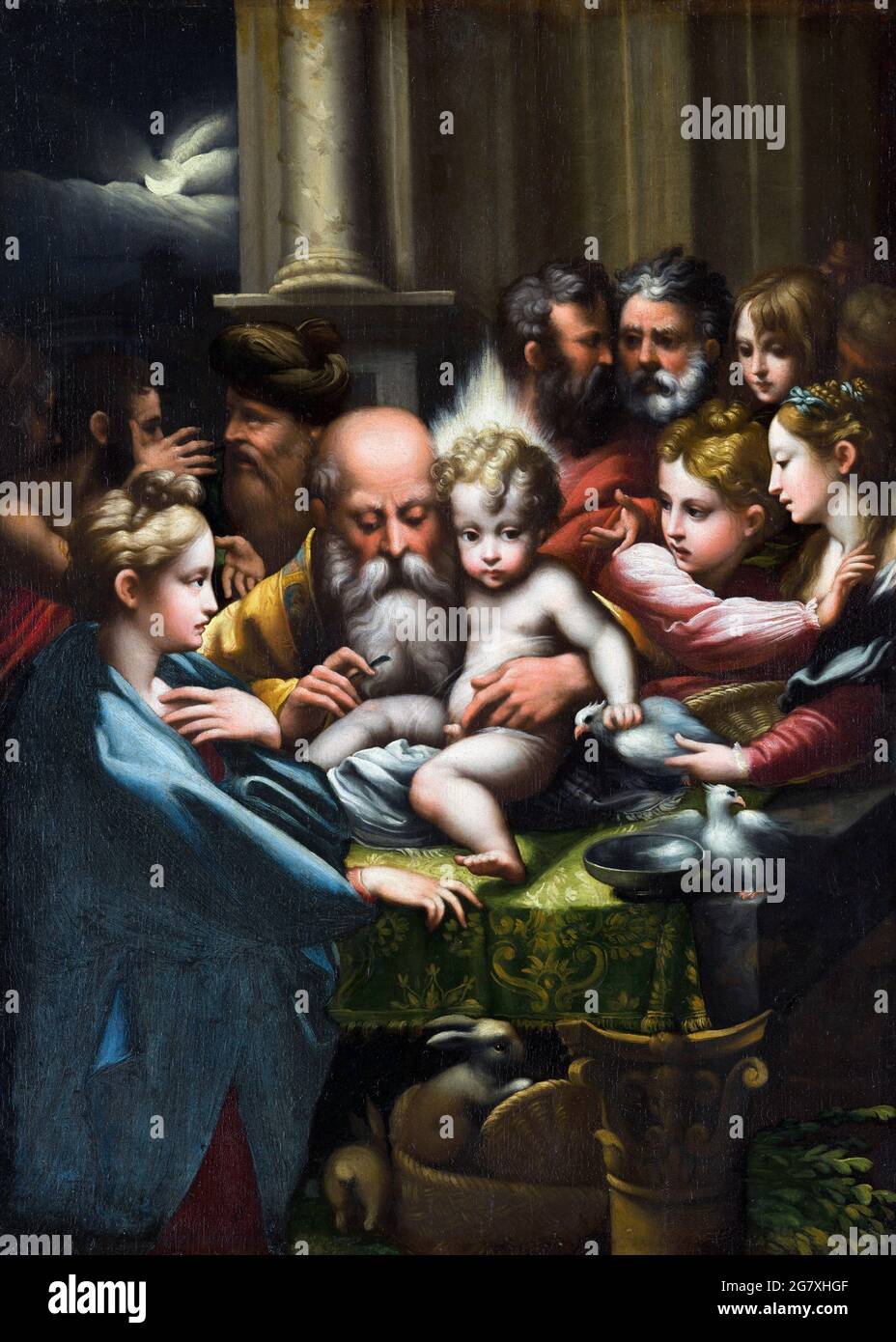 Parmigianino. La Circumcisión del pintor manierista italiano Girolamo Francesco Maria Mazzola (1503-1540), óleo sobre panel, c. 1523 Foto de stock