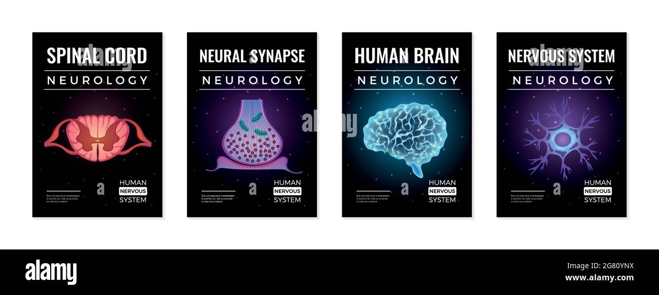 Neurology banners colección de cuatro composiciones verticales con