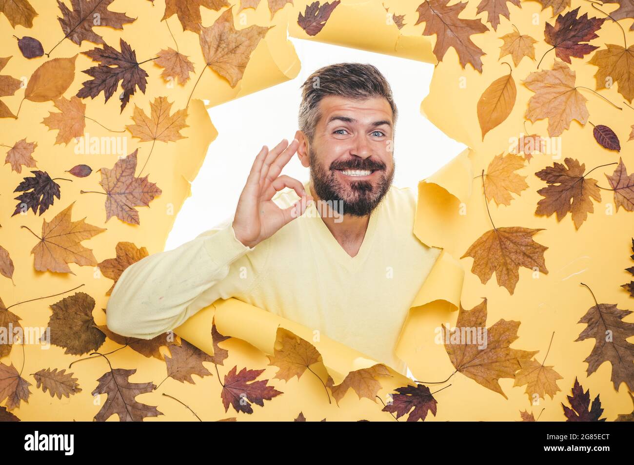Escultura colisión hemisferio Descuentos otoñales en ropa. Hombre barbudo jugando con hojas y mirando la  cámara. Hermoso joven con barba Diviértete con Leaf Fall. El hombre es  Fotografía de stock - Alamy