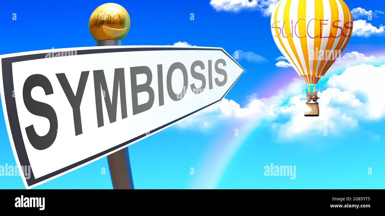 La simbiosis lleva al éxito - se muestra como un signo con una frase simbiosis apuntando a un globo en el cielo con nubes para simbolizar el significado de la simbiosis, Foto de stock