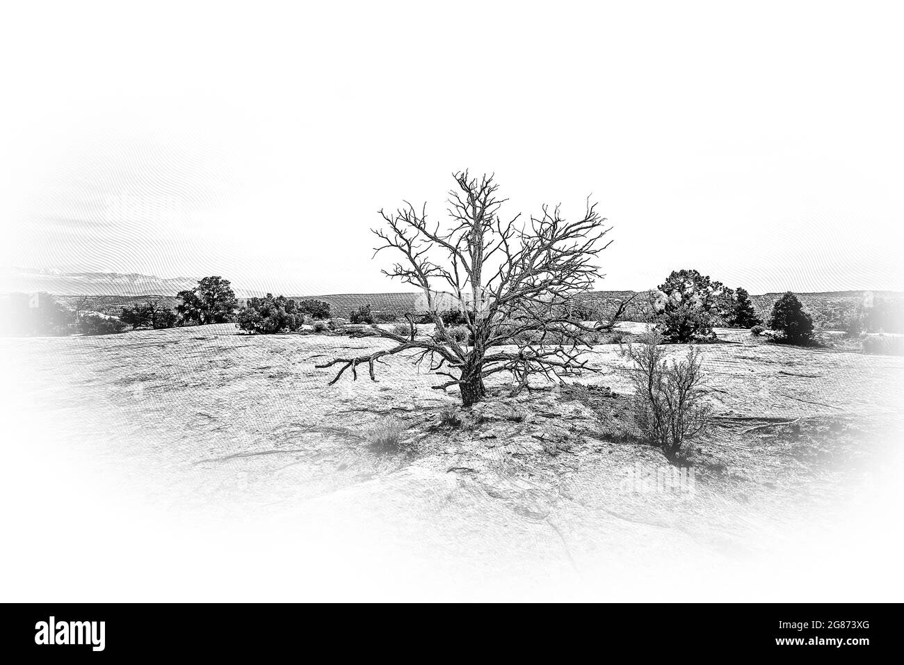 Un paisaje impresionante y vegetación en el desierto de Utah Foto de stock