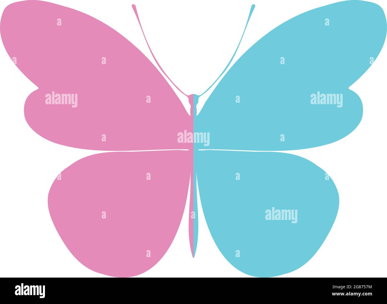 Silueta de mariposa de colores. Plantilla para imprimir , ilustración  vectorial, icono. Mariposa con alas abiertas, vista superior Imagen Vector  de stock - Alamy